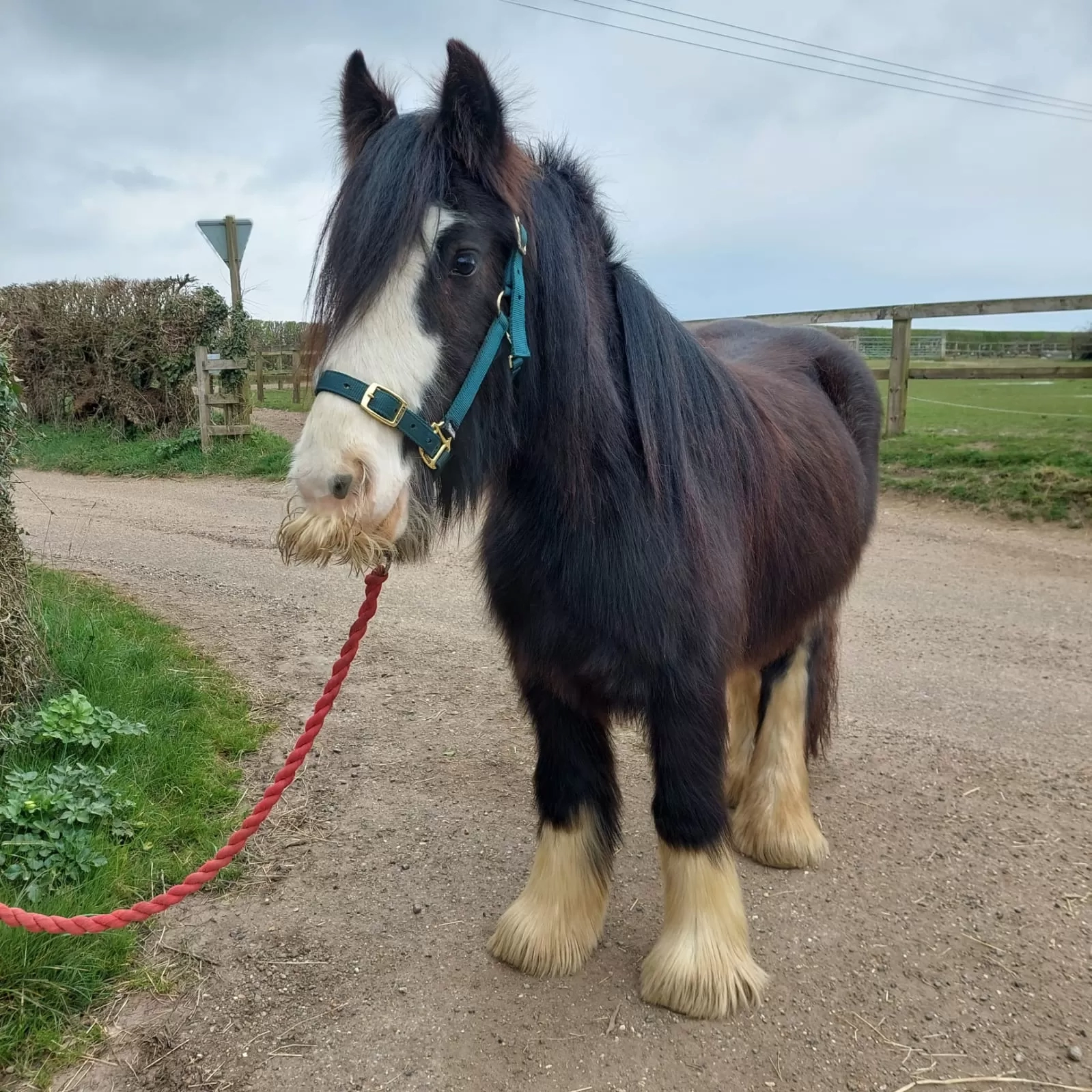 Beth stands face on to the camera