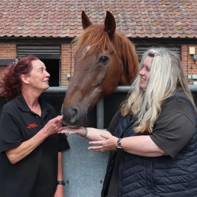 Field Officers Julie and give a cuddle to a chestnut horse who has poked his head over his paddock wall.