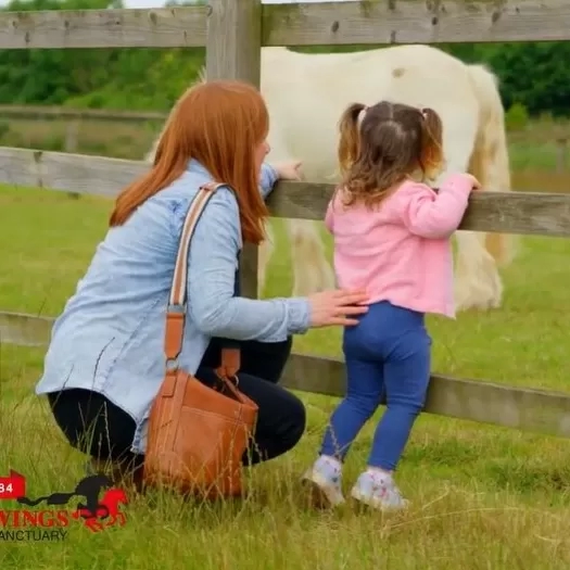 A woman and a toddler watch a pony grazing in his paddock through the fence.