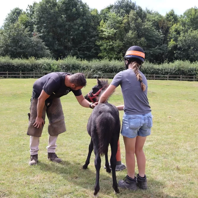 Ruby meets the farrier