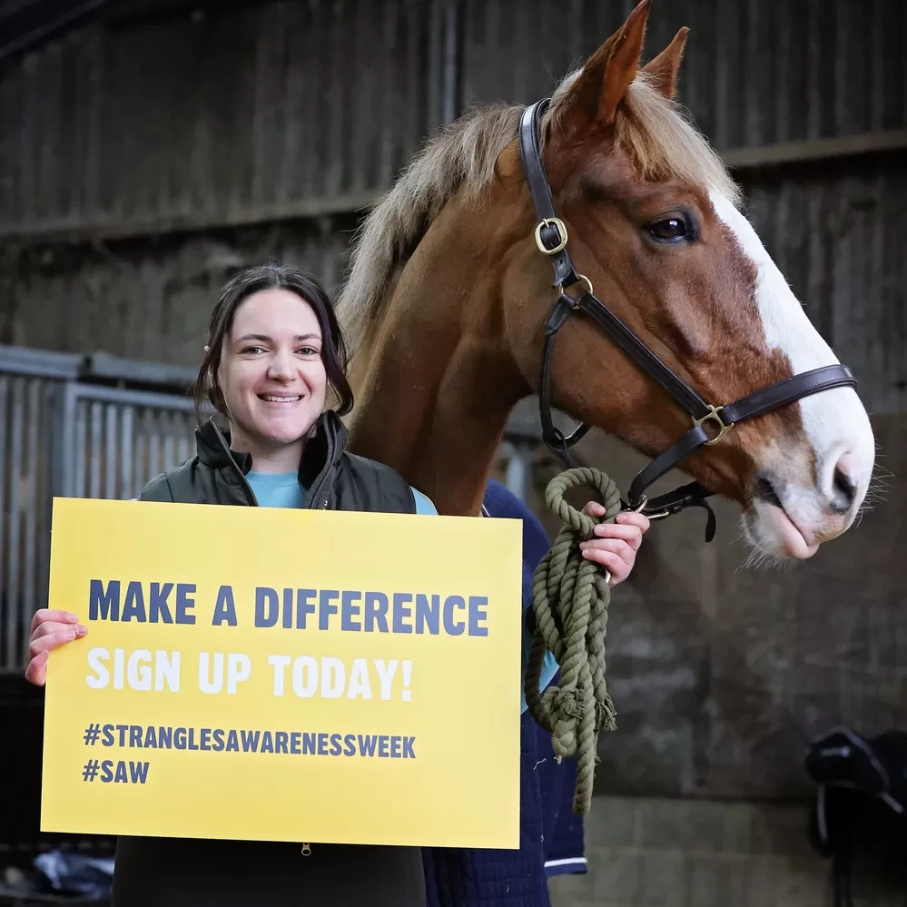 Rhi and Harley support Strangles Awareness Week