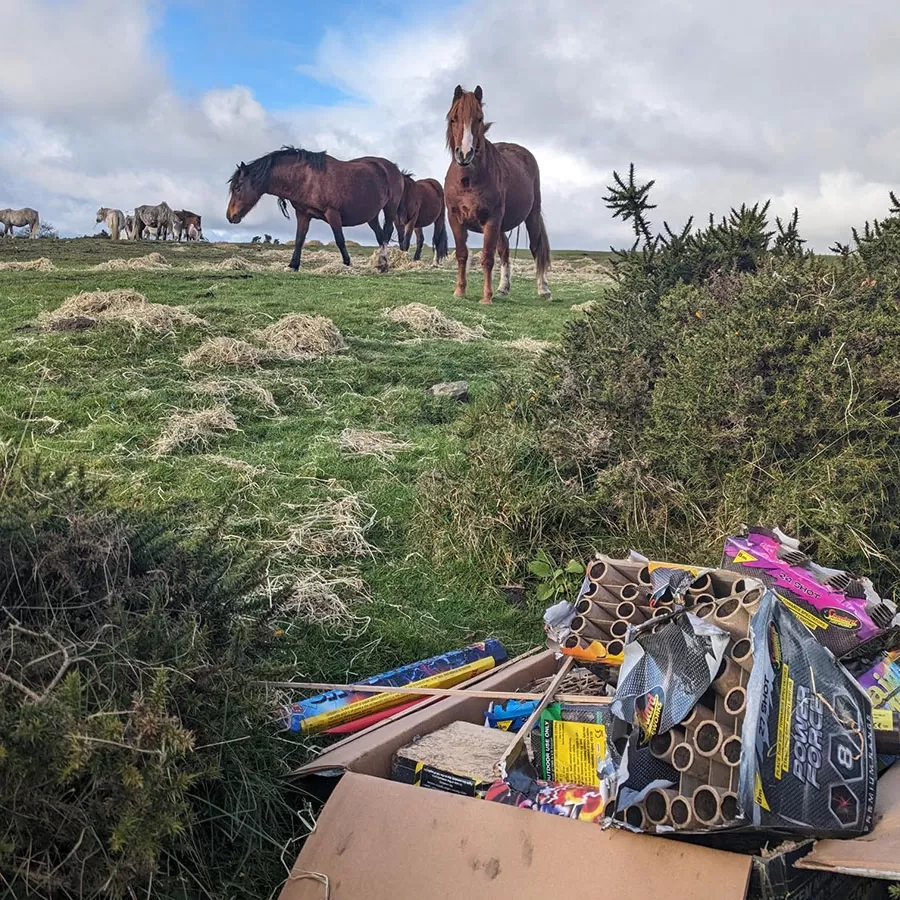 Horses and fireworks