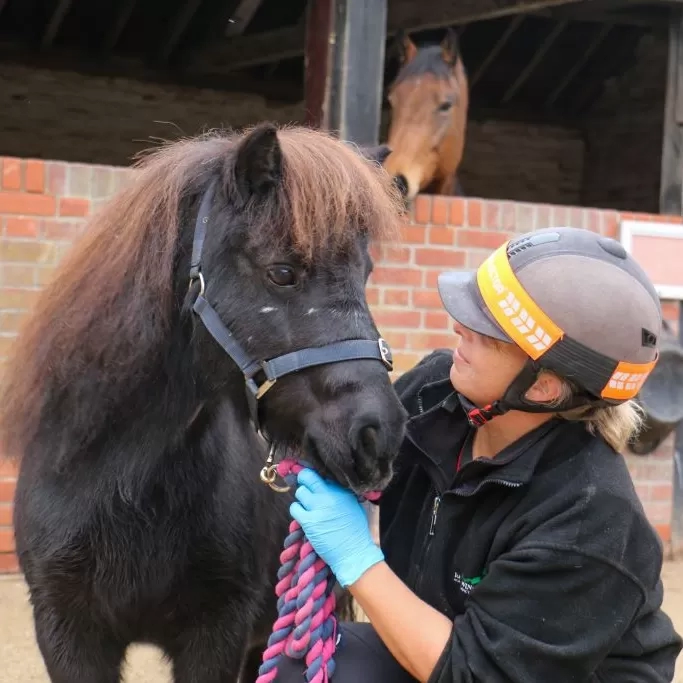 Nursing Manager Lou stands with little Shetland pony Marjorie outside some stables.