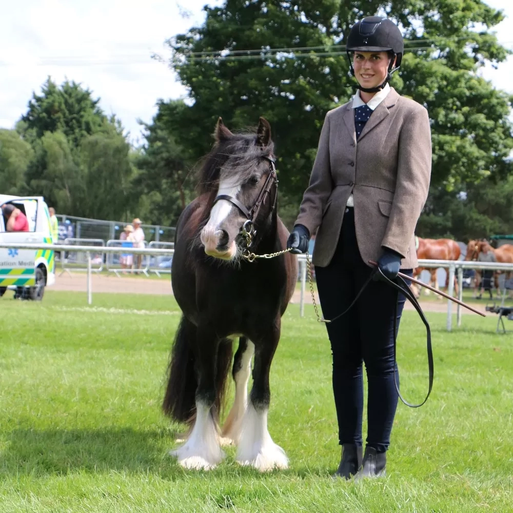 Black pony and handler