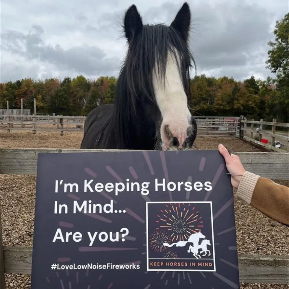 A Redwings resident looks over a board to support the Keep Horses in Mind campaign