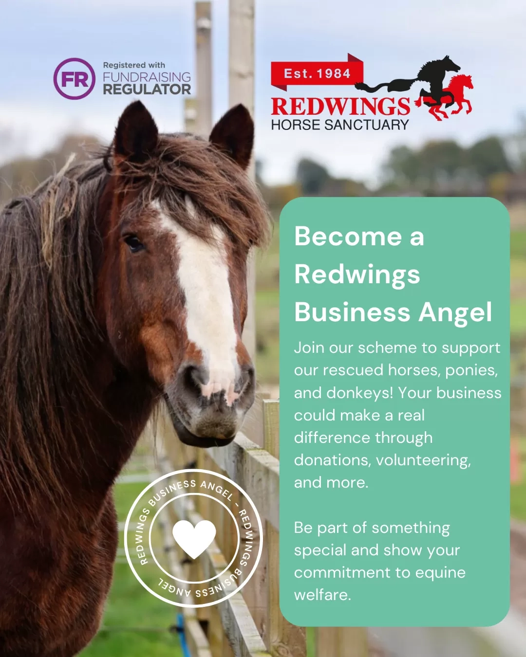 Become a Redwings Business Angel