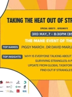 Teaser - SAW Q&A blog May 2023