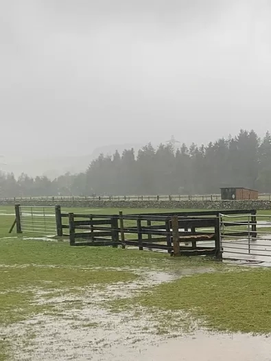 Flooding at Mountains, horses in barns
