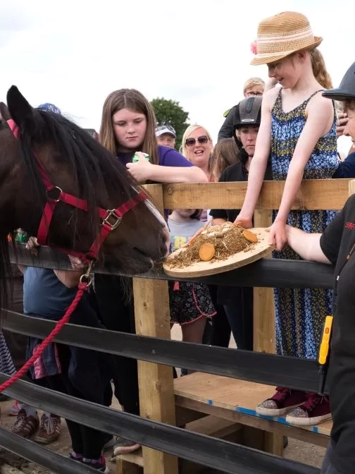 Rumepl the pony who is wearing a red headcollar and sash enjoys a horsey-friendly cake held by one of his carers and a young supporter.