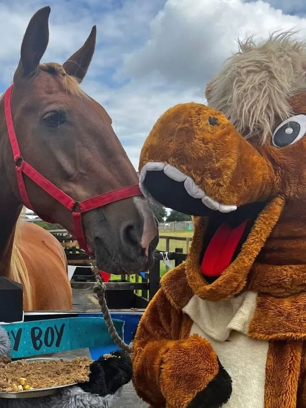 Chestnut horse Zippy stands between Redwings' two mascots - horse Red and donkey Wings - who are holding his horse-friendly birthday cake.