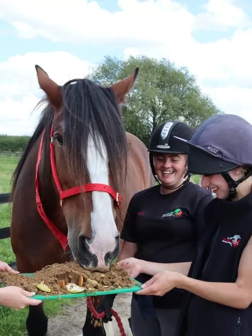 Adoption Star Lady, a Shire horse, tucks into a horse-friendly birthday cake held by her carers.