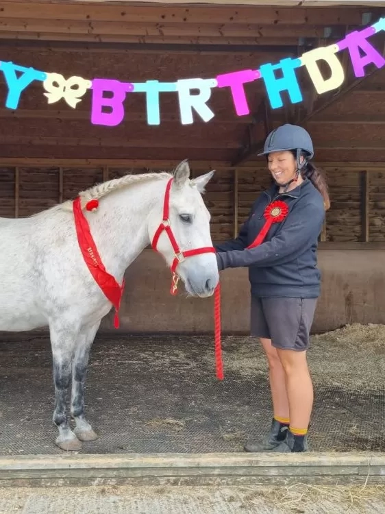 A grey pony, Adoption Star Lily, stands in her stable with one of her handlers, wearing a red headcollar and ir