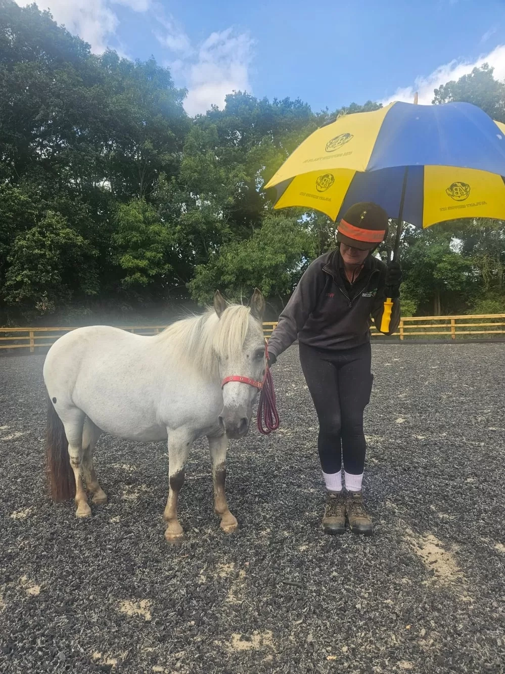 Pony with an umbrella