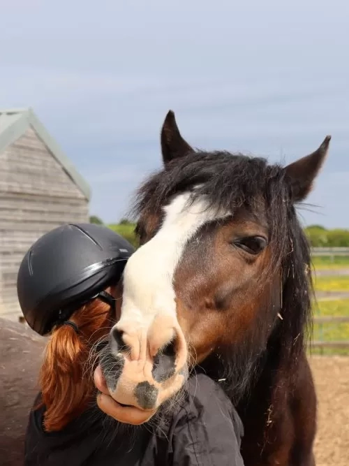 A bay horse with a white blaze down his face rests his head on the shoulder of a Redwings team member.