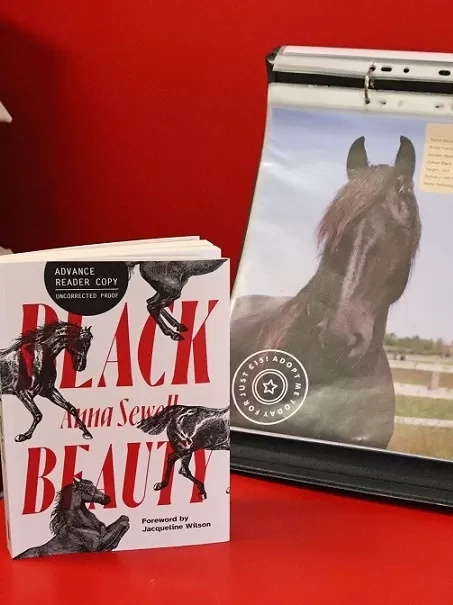 A copy of the Redwings edition of Black Beauty sits next to a poster about Adoption Star horse Maya.