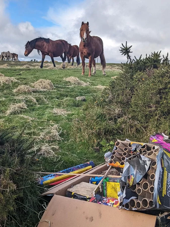 Horses and fireworks