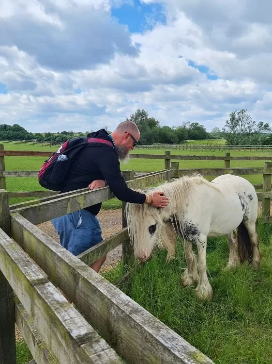 A man strokes a piebald cob over a fence 