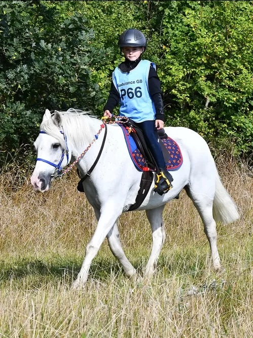 Redwings Milky-Way and Alfie-Jay