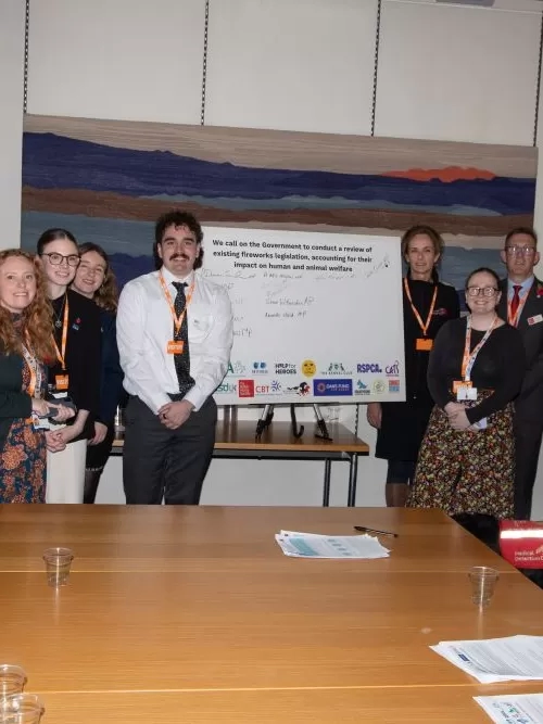 Members of the Fireworks Working Group gather in a group pose.