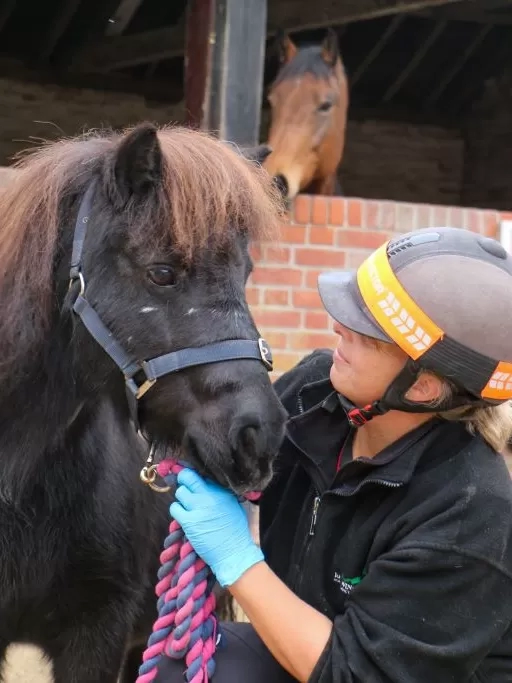 Nursing Manager Lou stands with little Shetland pony Marjorie outside some stables.