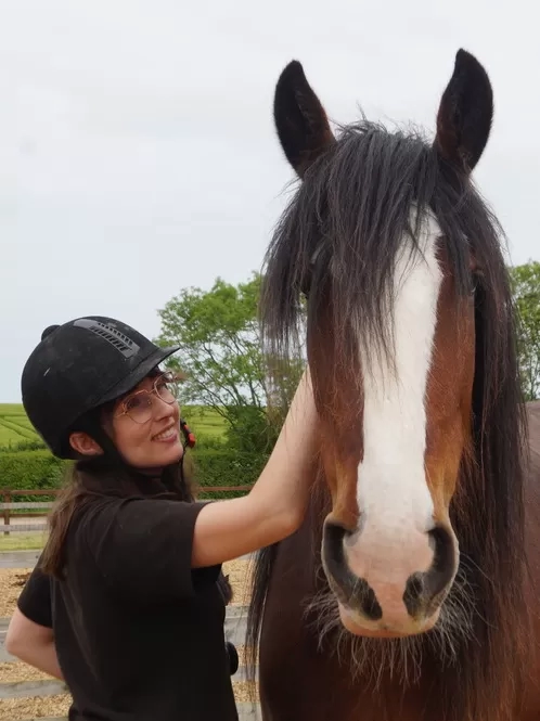 A member of Redwings staff wearing a hard hat strokes the head of a large Shire horse in their paddock.