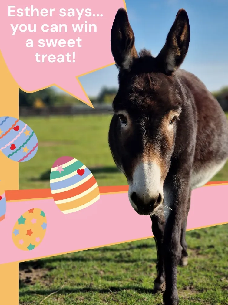 Caldecott Easter banner