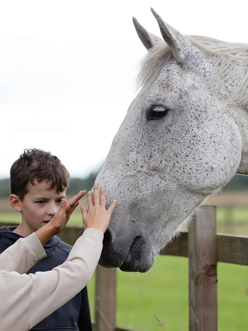 A photo of two young boys stroking a horse over a fence.