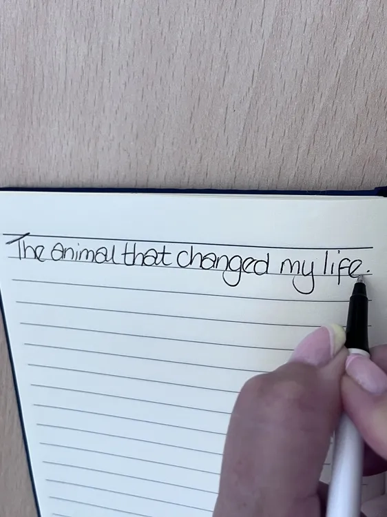 Photo of someone writing the line 'The animal that changed my life.'