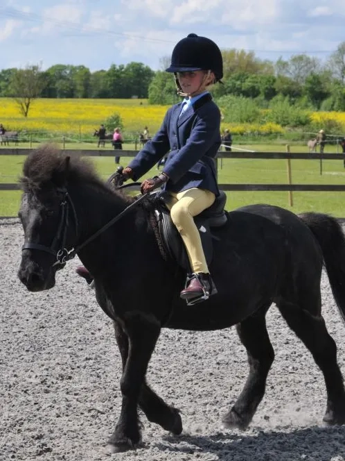 Dylan the pony being ridden at a horse show.