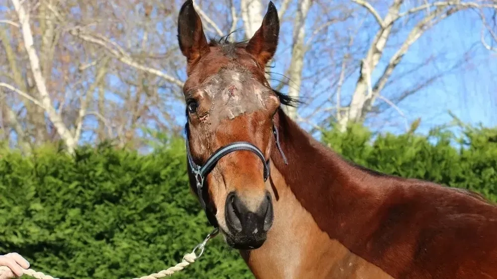 Ready to rescue - slide 3