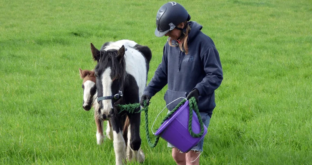 Ready to rescue - Star and rocket