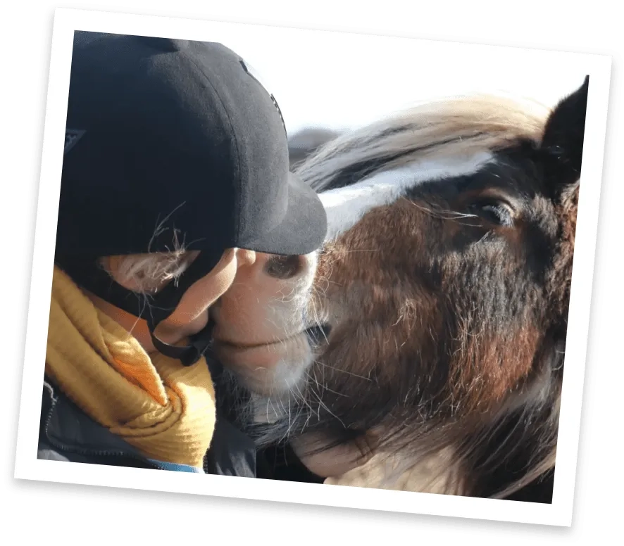 Horse with redwings worker